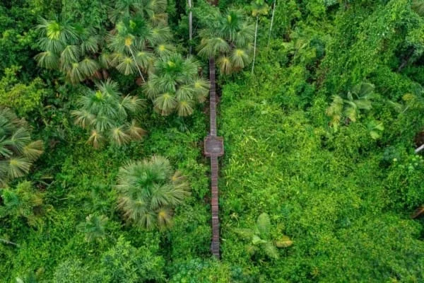 GreenYellow instala usina em fazenda de Alta Floresta reconhecida pelo seu compromisso com a natureza