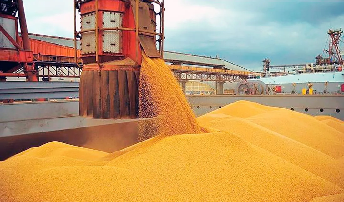 Sinop é a 3ª maior em exportações e negócios ultrapassam R$ 8,5 bilhões